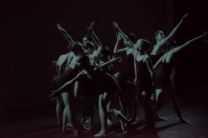 PERFORMANCES